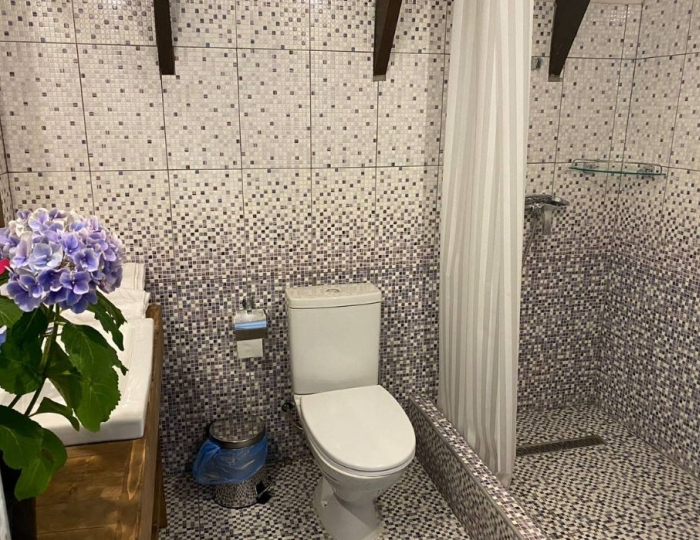 2-местное шале - Отель Chalet Bridge / Шале Бридж Гагра